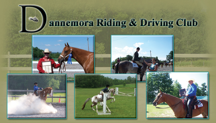 Dannemora Riding Club